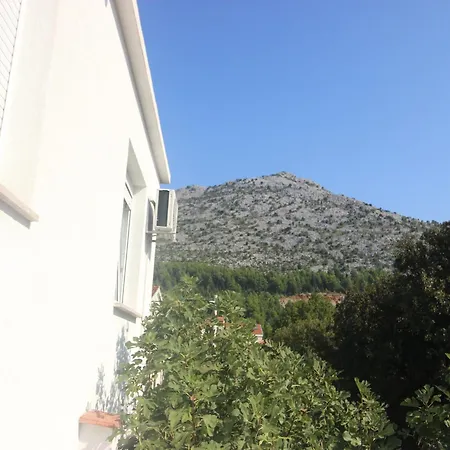 In Near The *