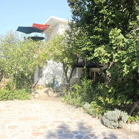 In Near The Starigrad Paklenica